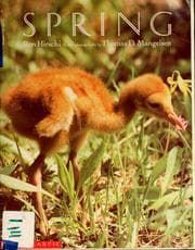 Tapa de Spring