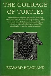 Tapa de The courage of turtles