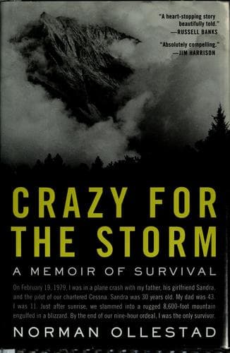 Tapa de Crazy for the storm