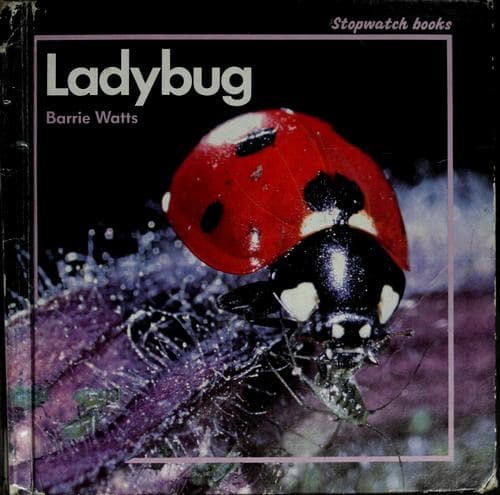 Tapa de Ladybug