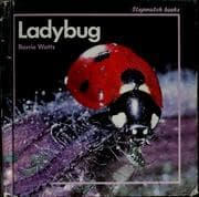 Tapa de Ladybug