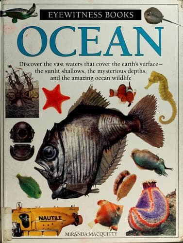 Tapa de Ocean