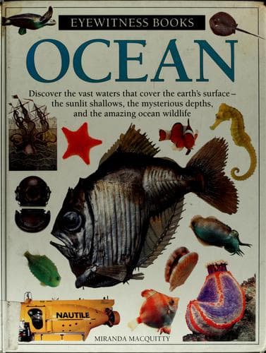 Tapa de Ocean