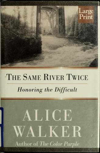 Tapa de The same river twice