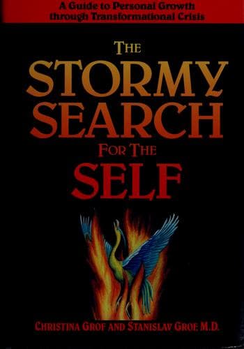 Tapa de The stormy search for the self