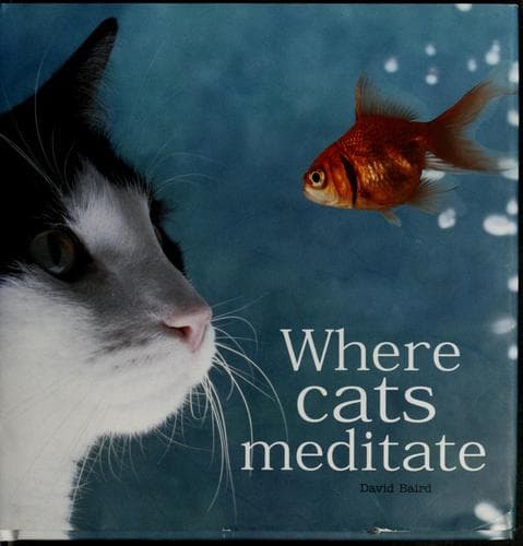 Tapa de Where cats meditate