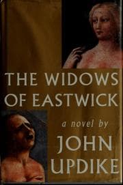Tapa de The widows of Eastwick
