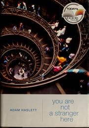 Tapa de You are not a stranger here