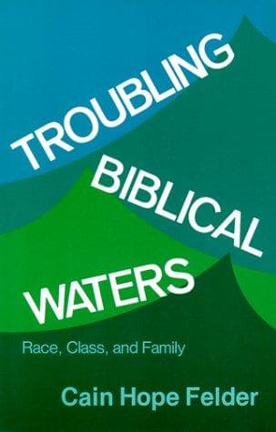 Tapa de Troubling biblical waters