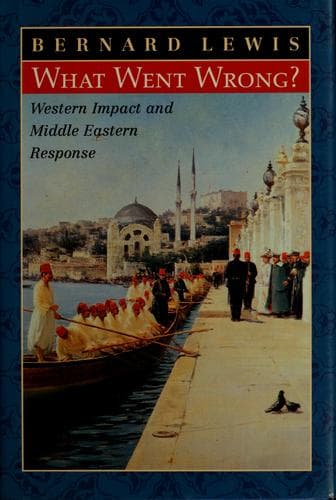Tapa de What went wrong?