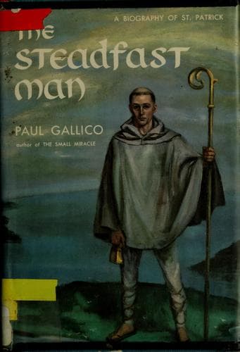 Tapa de The steadfast man