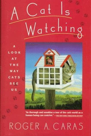 Tapa de A Cat Is Watching