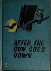 Tapa de After the sun goes down