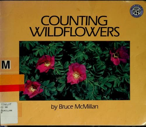 Tapa de Counting wildflowers