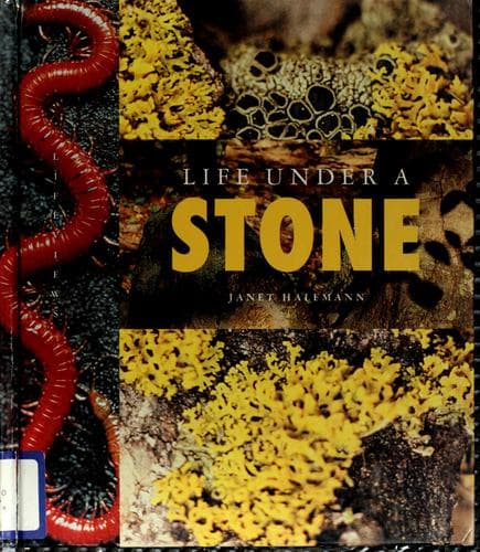 Tapa de Life under a stone