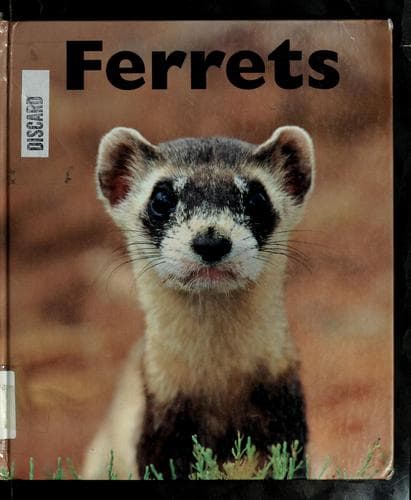 Tapa de Ferrets