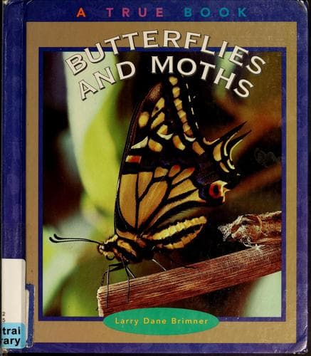 Tapa de Butterflies and moths