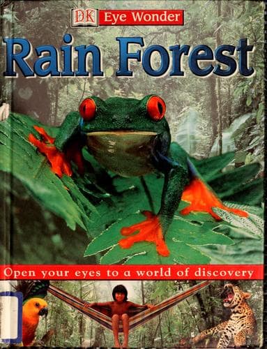 Tapa de Rain forest