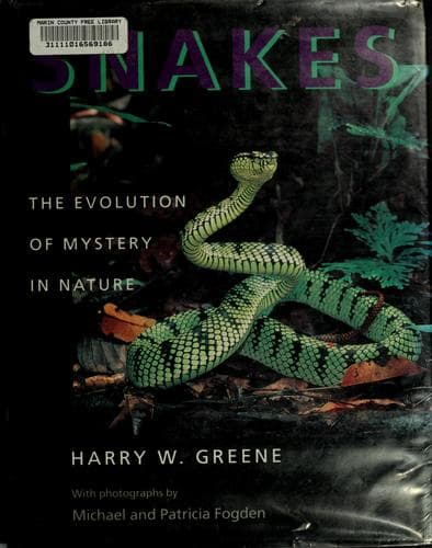 Tapa de Snakes