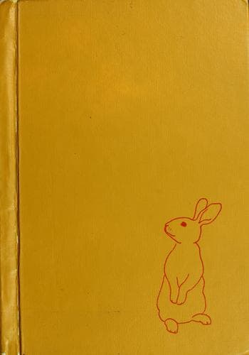 Tapa de Rabbits: all about them