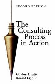Tapa de The consulting process in action