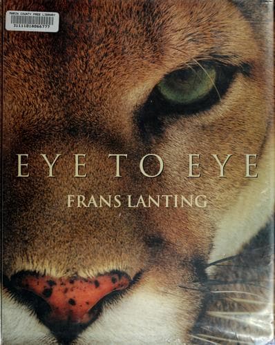 Tapa de Eye to eye