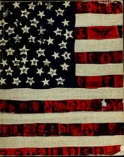 Tapa de America's political system