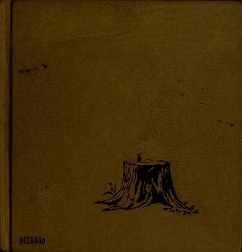 Tapa de The old stump