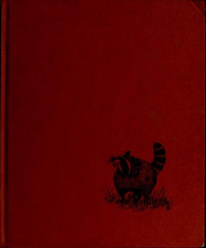 Tapa de Five fat raccoons