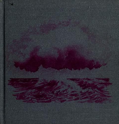Tapa de The rain cloud