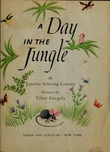 Tapa de A day in the jungle