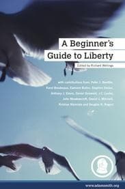 Tapa de A Beginner's Guide to Liberty