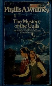 Tapa de The Mystery of the Gulls