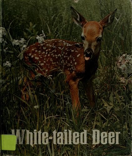 Tapa de White-tailed deer