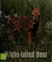 Tapa de White-tailed deer