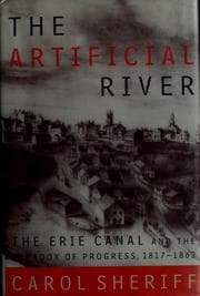 Tapa de The artificial river