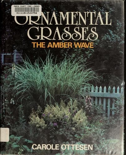 Tapa de Ornamental grasses