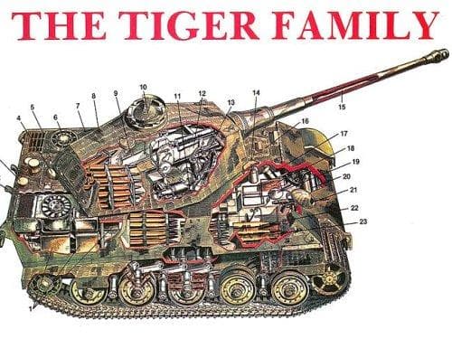 Tapa de The Tiger family