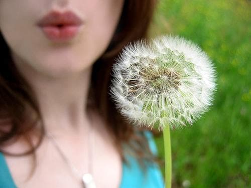 Tapa de Dreams and Waking Visions