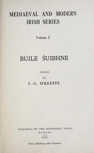 Tapa de Buile Shuibhne