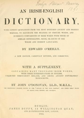 Tapa de An Irish-English dictionary
