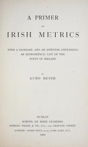 Tapa de A primer of Irish metrics
