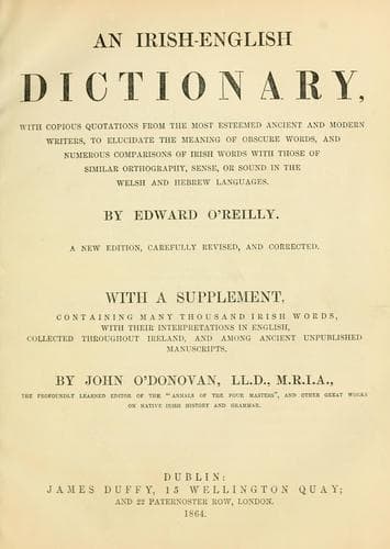 Tapa de An Irish-English dictionary