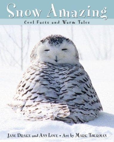 Tapa de Snow amazing