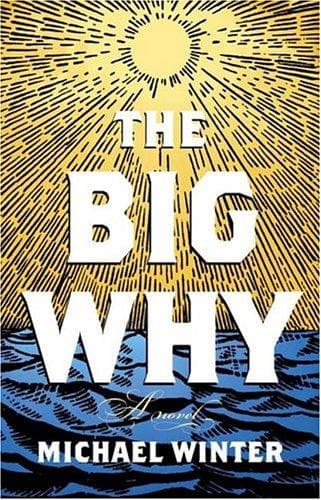 Tapa de The big why