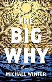 Tapa de The big why