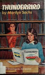 Tapa de Thunderbird