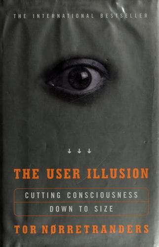 Tapa de The user illusion