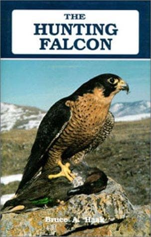 Tapa de Hunting Falcon