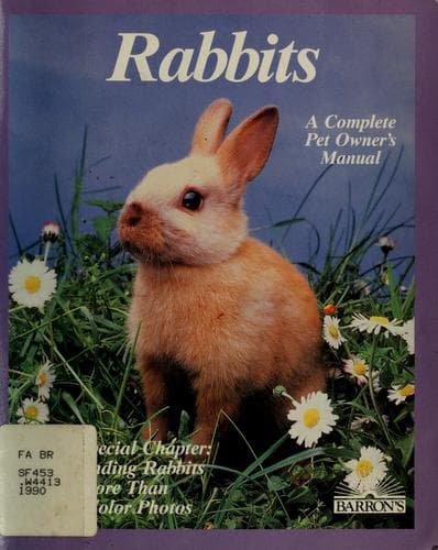 Tapa de Rabbits